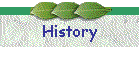 History
